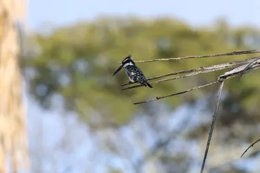 National Botanical Gardens