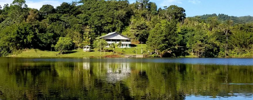 Lago Garzas