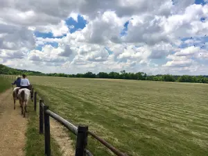 The Spotted Horse Ranch