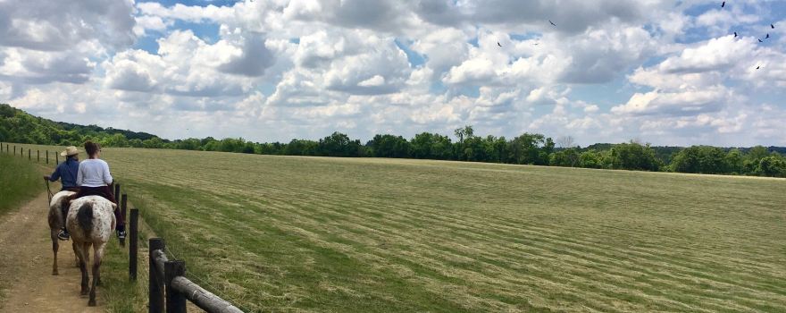 The Spotted Horse Ranch