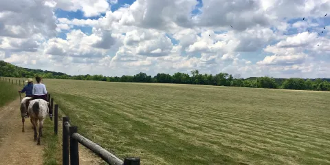 The Spotted Horse Ranch