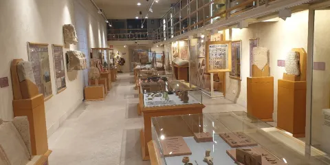 Museu Arqueologic Municipal Camil Visedo Molto