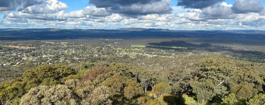 Mount Tarrengower Lookout