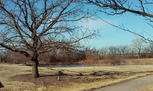 Dyck Arboretum of the Plains