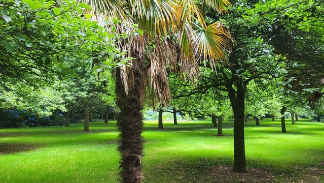 Cidrerie Manoir du Kinkiz