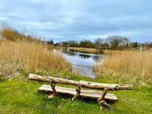 NABU-Wasservogelreservat Wallnau