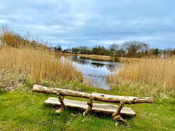 NABU-Wasservogelreservat Wallnau
