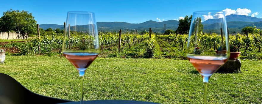 Grabovac Winery