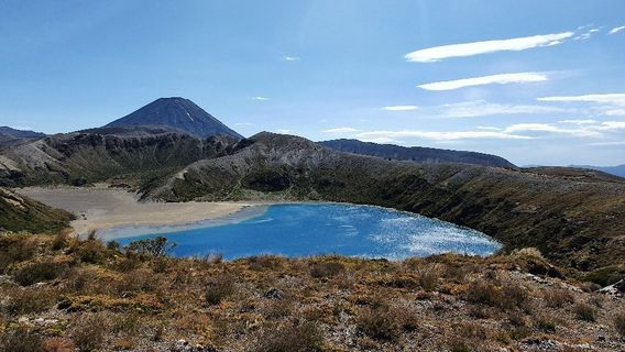Whakapapa Nature Walk