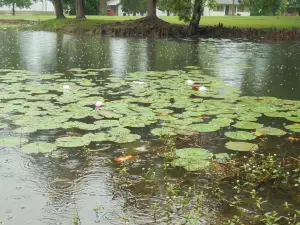 Spaulding Park