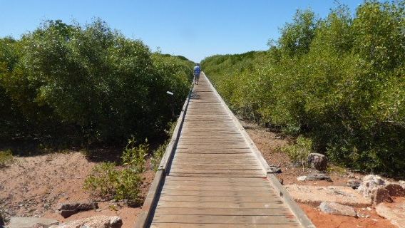 Streeter's Jetty Broome