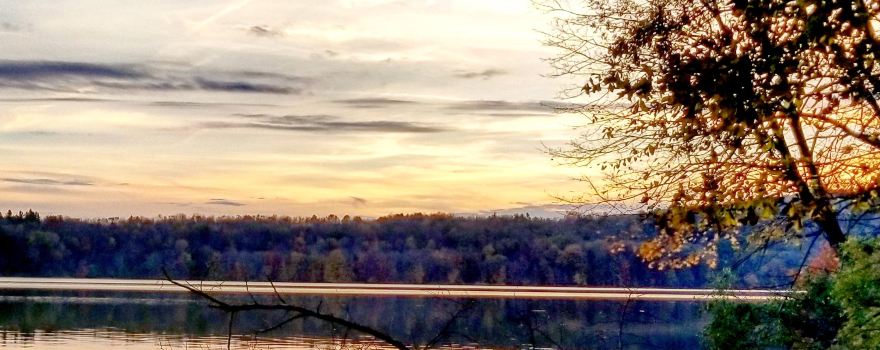 Yellow Creek State Park