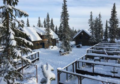 Jukkasjarvi