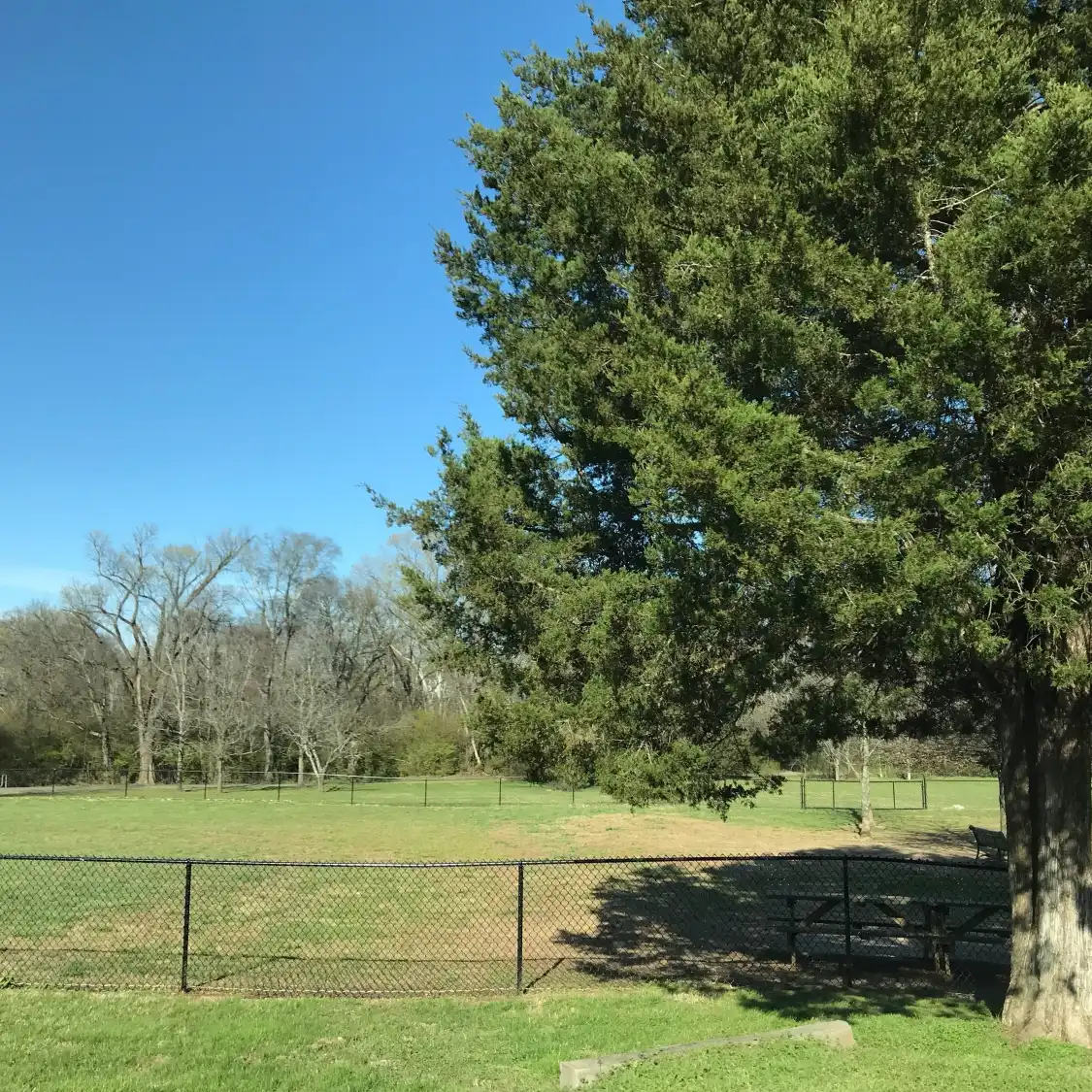 Hotels near Murfreesboro Bark Park