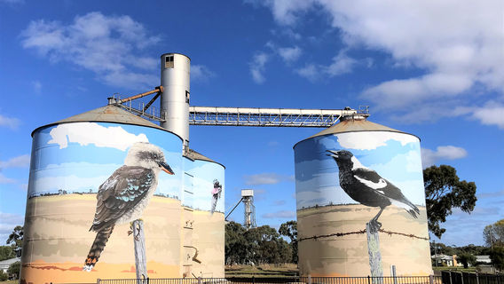 Waikerie Silo Art