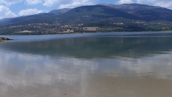 Lozoya