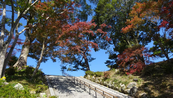 Mountaintop plaza at Kameyama Park