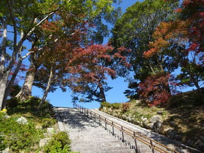 Mountaintop plaza at Kameyama Park