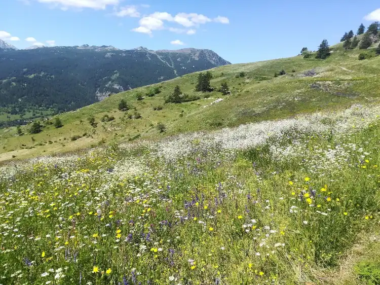 Hotels near Cappella di San Claudio