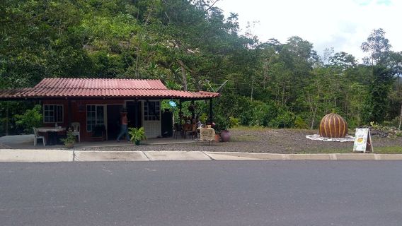 Xue Chocolateria Artesanal