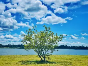 Mufulira Boating Club
