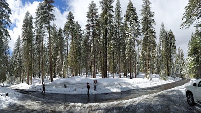 Crane Flat Campground