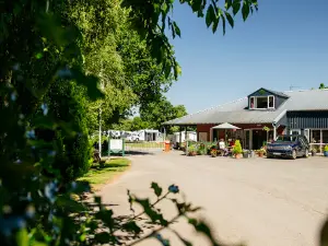 Hereford Camping and Caravanning Club Site