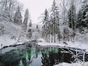 Saula Siniallikate matkarada