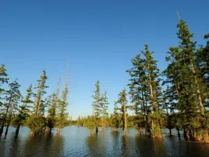 Hovey Lake Fish and Wildlife Area