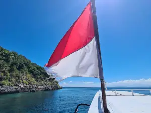 Blue Marlin Dive Kuta Lombok