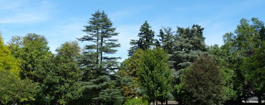 Parc du Poutyl