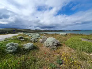 Tuz Lake