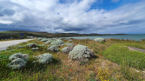 Lake Tuz