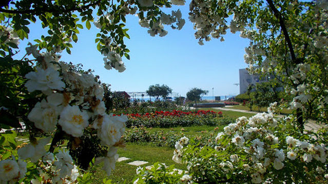 Rozarium (Rose Garden)