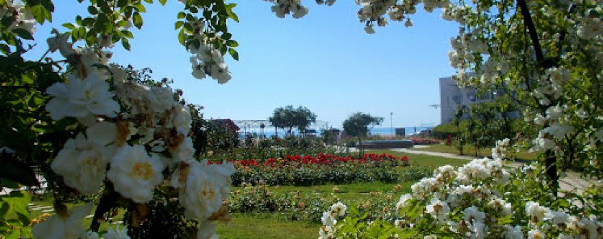 Rozarium (Rose Garden)