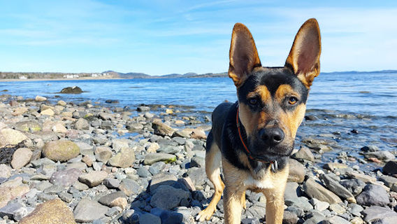 Pagan Point Nature Preserve