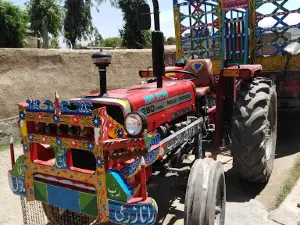 Ghalla Mandi