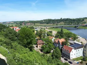 Elbaue Mühlberg