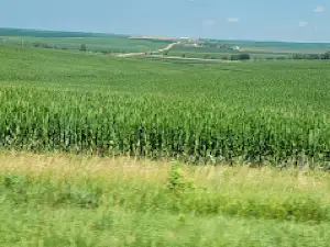 Colfax County Fair Grounds