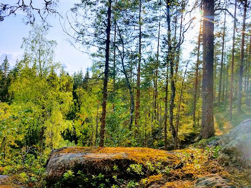 Neulamäki Nature Preserve