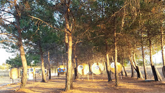Campo Tiro a Volo Settimo