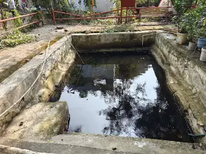 ताप्ती उद्गम सप्त ऋषि टापू