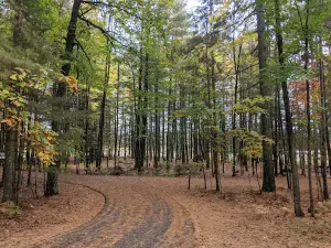 Laurel Lake Campground