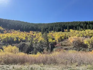 Rawhide Outfitters