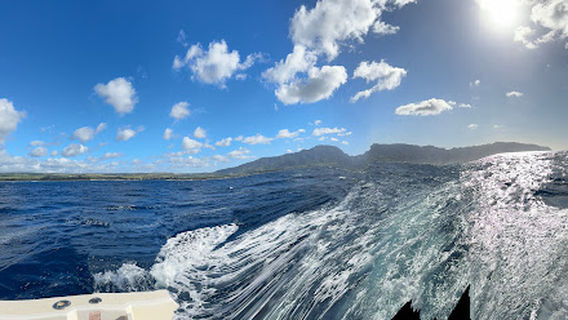Deep Blue Eco Tours