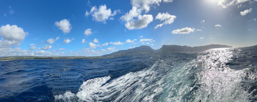Deep Blue Eco Tours