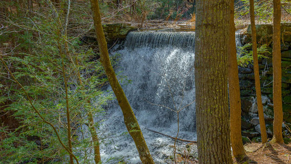 Mass Audubon's Cook's Canyon Wildlife Sanctuary Entrance