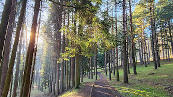 Trim Trail