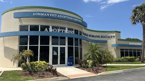 Halifax Humane Society