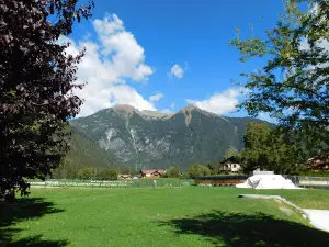 Parco Pineta
